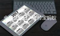 全国低碳日：支付宝蚂蚁森林开启“绿色能量行动”